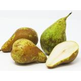 Birne - "Conference" - 2,5kg - Kiste