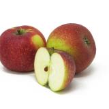 Äpfel - "Ingrid Marie" - 5kg - Gebinde