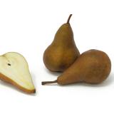 Birne - "A" Conference