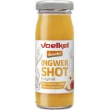 Shot Ingwer, 8 x 95 ml