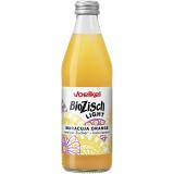 Bio Zisch Light Maracuja Orange 10 x 0,33 l