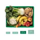 Kleinkindkiste mittelgroß