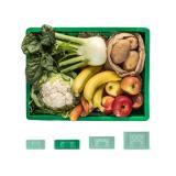 Kleinkindkiste mittel