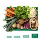 Regionalkiste Gemüse mittelgroß