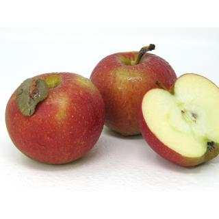Äpfel - "Wellant"