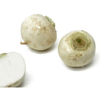 Mairübchen weiss - lose