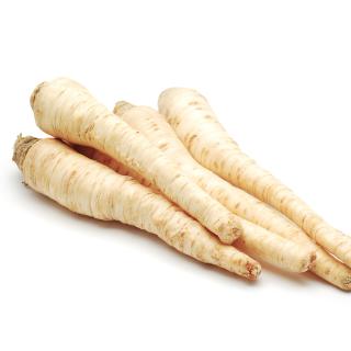 Petersilienwurzel lose