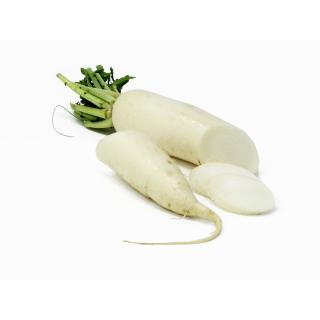 Rettich, weiß, lose