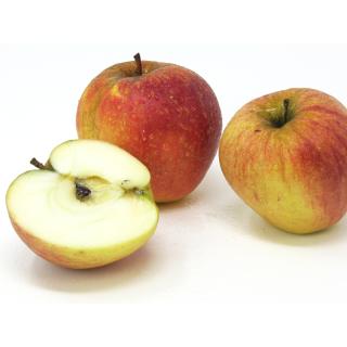 Äpfel - "Finkenwerder Herbstprinz"