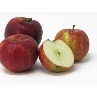 Äpfel - "Royal Rouge"