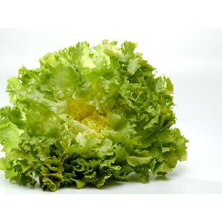 Salat, Endivie