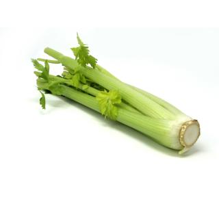 Sellerie - Staudensellerie