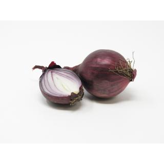 Zwiebel, rot