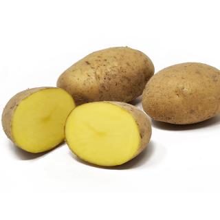 Otolia halbfest. - 1kg