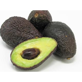 Avocado "Hass" Mini