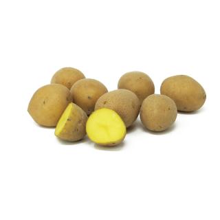 Kartoffeln festk. - kleine Sortierung, 10kg