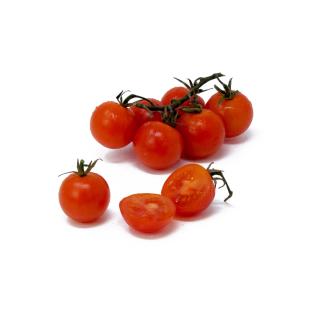 Tomaten - Cherrystrauch