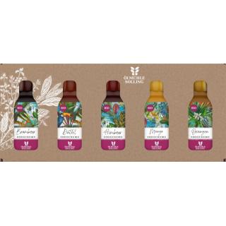 Set Fruchtige Essigcremes