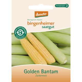 Zuckermais Bantam demeter, Saatgut