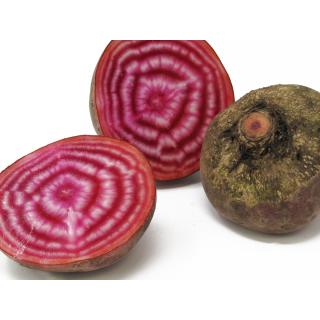 Rote Bete rot-weiß geringelt