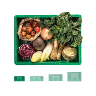 Regionalkiste Gemüse mini