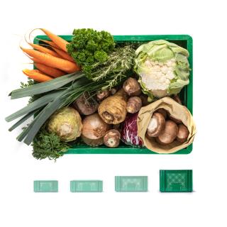 Regionalkiste Gemüse groß