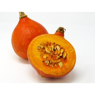 Kürbis - Hokkaido orange