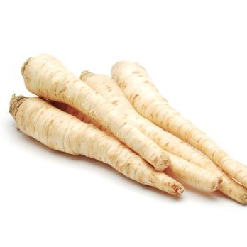 Petersilienwurzel lose