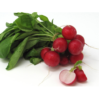 Radieschen