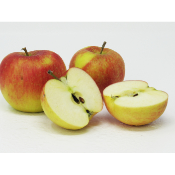 Äpfel - "Nikolaus" (Topaz - kleines Kaliber)