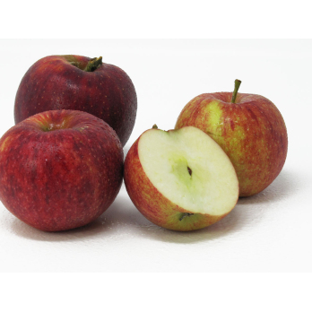Äpfel - "Royal Rouge"
