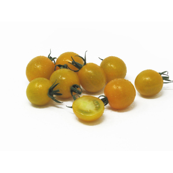 Tomaten - Cherrystrauch gelb