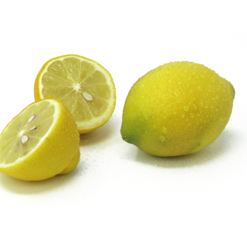 Zitronen "Primofioro" 3-5er