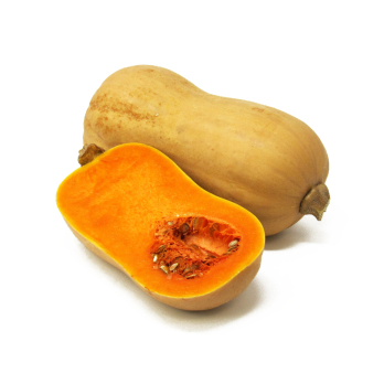 Kürbis - Butternut