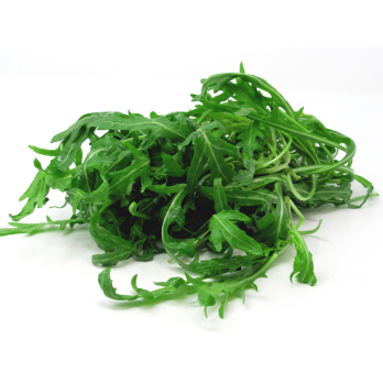 Rucola (wilde Rauke) lose