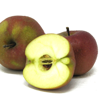 Äpfel - "Roter Boskoop"