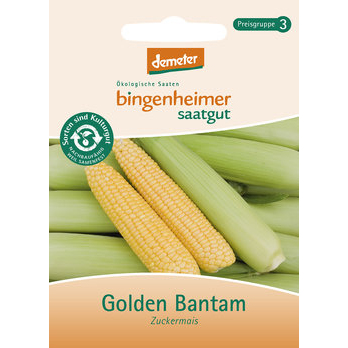 Zuckermais Bantam demeter, Saatgut