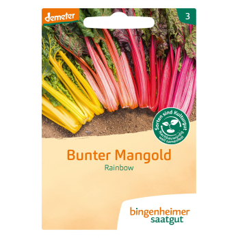 Mangold Rainbow, bunter, Saatgut