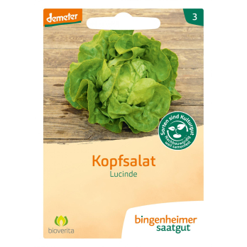 Kopfsalat - Lucinde, Saatgut