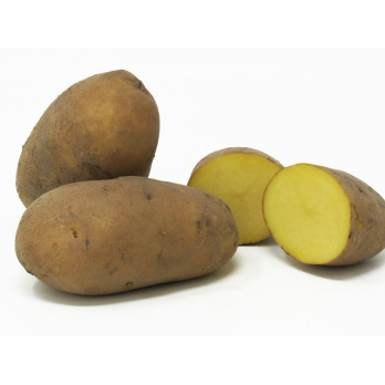 Nicola festk. - 2,5kg