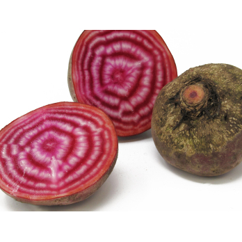 Rote Bete rot-weiß geringelt