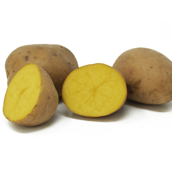 Kartoffeln festk. Übergröße - 10kg