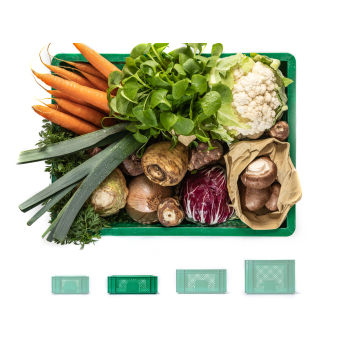 Regionalkiste Gemüse klein