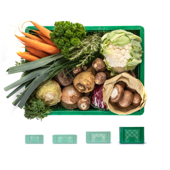 Regionalkiste Gemüse groß