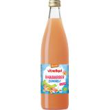 Rhabarber Schorle Kiste (Voe)